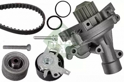 WILMINK GROUP wg1251490 -  Водяной насос + комплект зубчатого ремня
